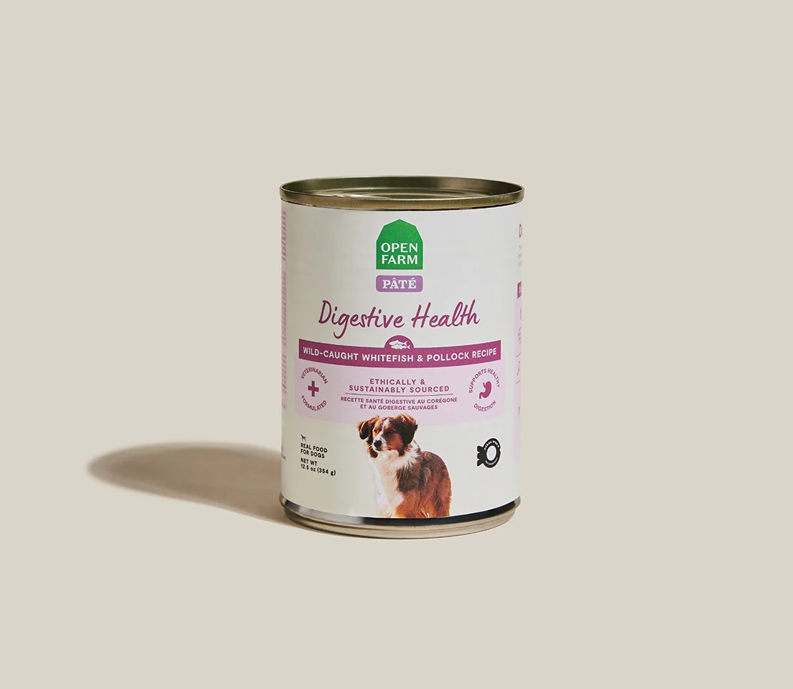 Whitefish & Pollock Digestive Health Pâté for Dogs