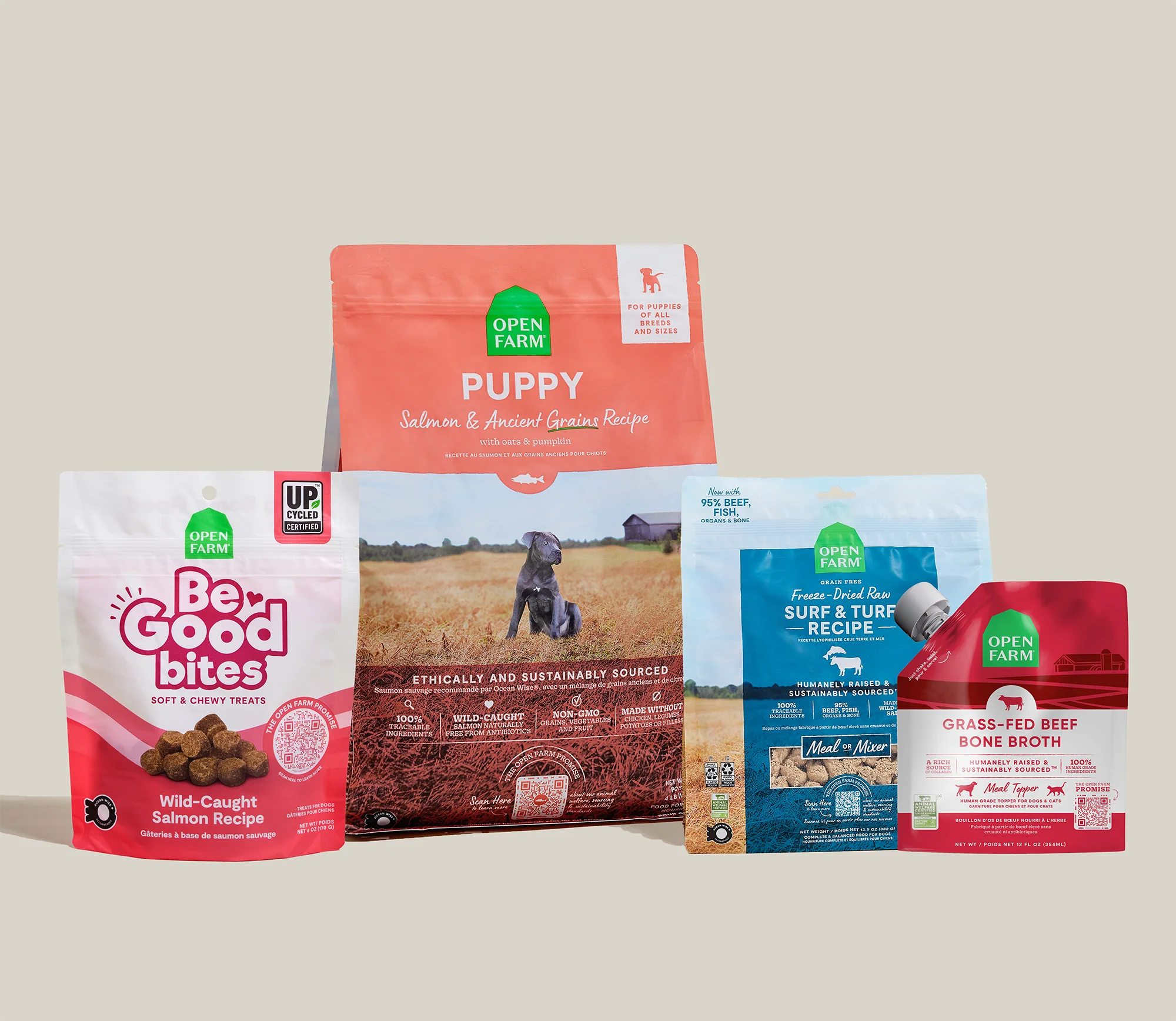 Welpen-Neustart-Paket mit Lachs-Welpenfutter, gefriergetrockneter Rohkost und Leckerlis