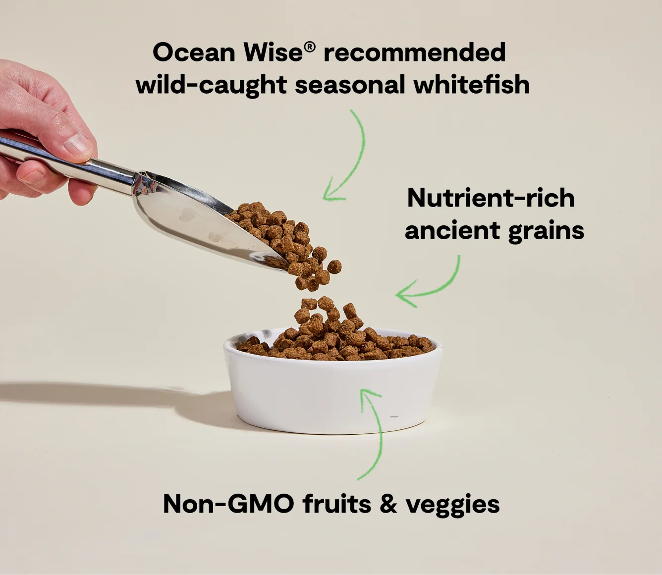 Whitefish & Ancient Grains Dry Dog Kibble for Skin and Coat Support