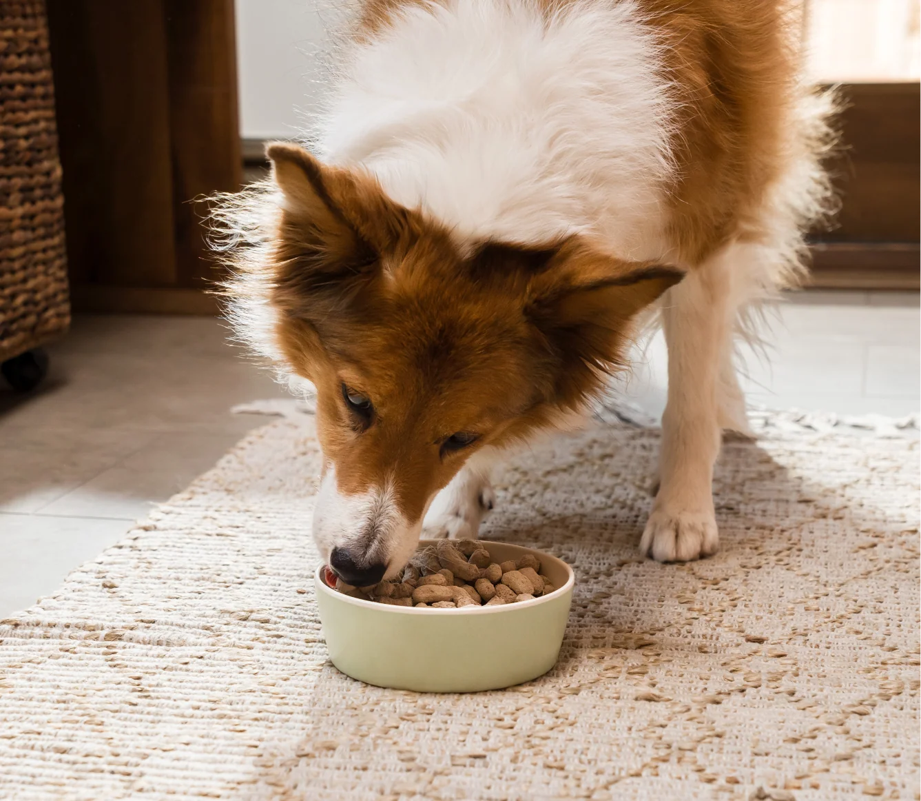 Goodbowl Grass-Fed Beef Freeze Dried Raw Morsels Meal Topper for Dogs