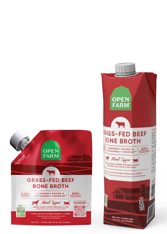 Grass-Fed Beef Bone Broth for Dogs with Pumpkin and Carrot