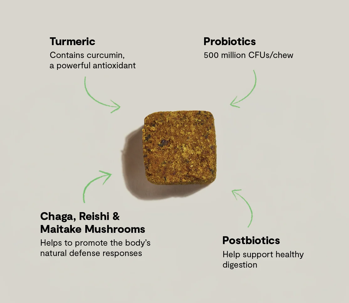 含益生菌與菇類的狗狗免疫補充咀嚼錠