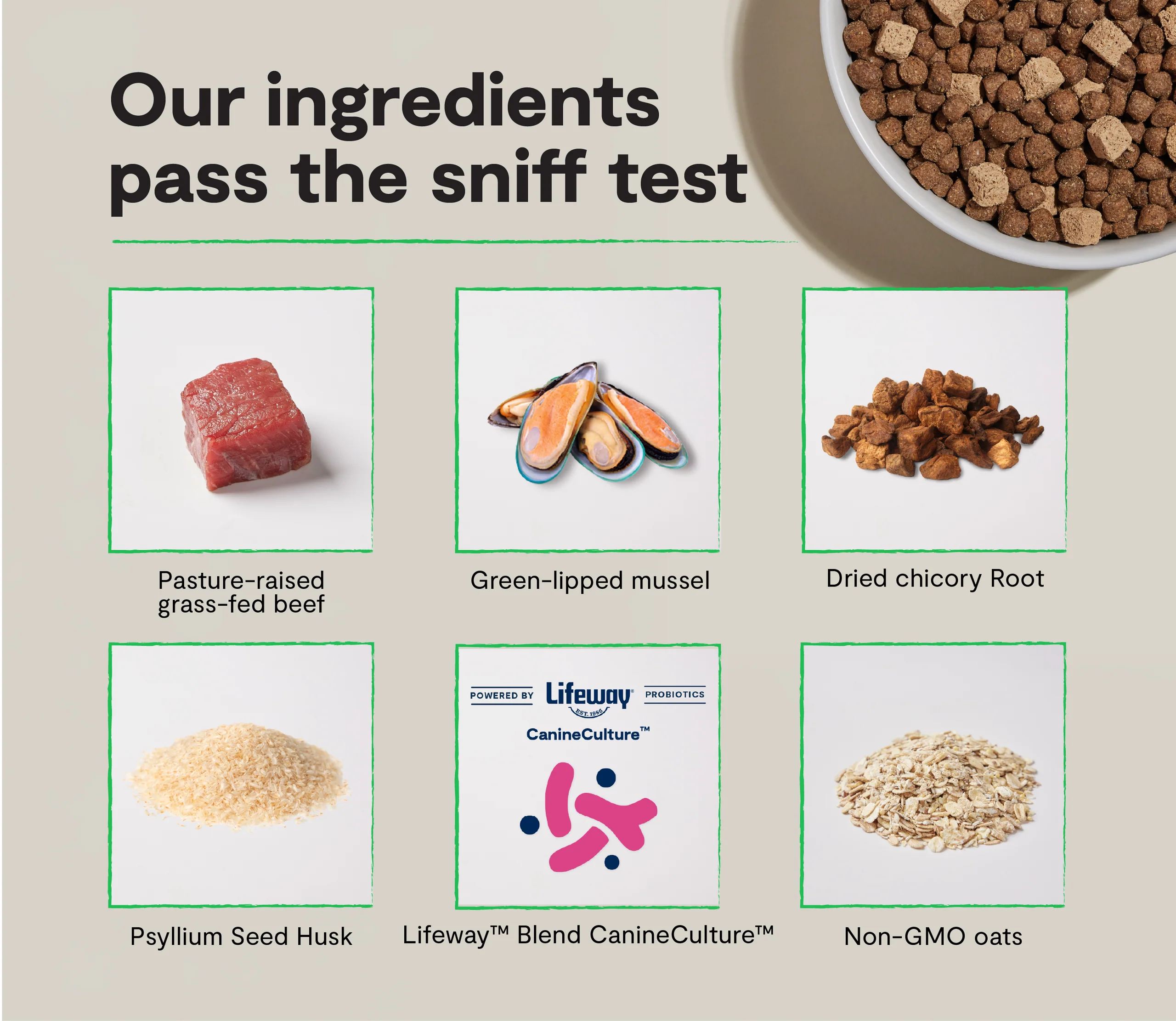 GoodGut Grass-Fed Beef Dog Kibble with Probiotics for Digestive Support