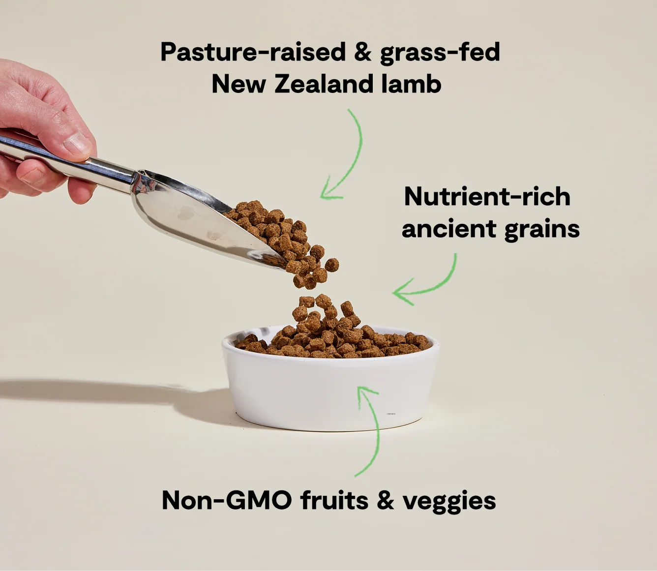 Pasture-Raised Lamb & Ancient Grains Dry Dog Kibble for Allergy-Prone Dogs