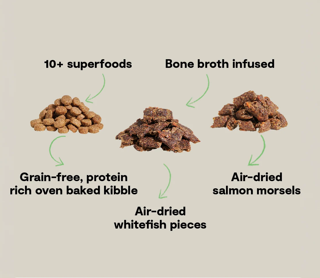 Bezzbożowa sucha karma dla psów Epic Blend z łososiem i superfoods