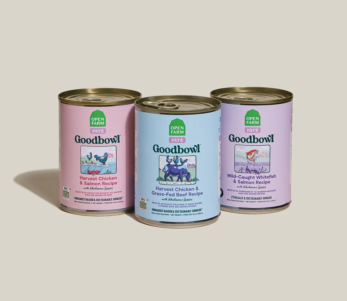 Pack varietà Goodbowl per cani: 12 lattine di ricette pâté