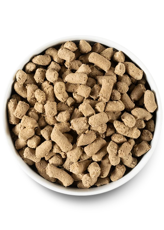 Welpen-Starterpaket: Getreidefreies Trockenfutter, gefriergetrocknetes Rohfutter & getrocknete Leckerlis