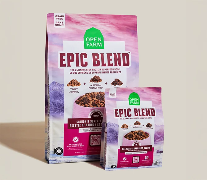 Bezzbożowa sucha karma dla psów Epic Blend z łososiem i superfoods
