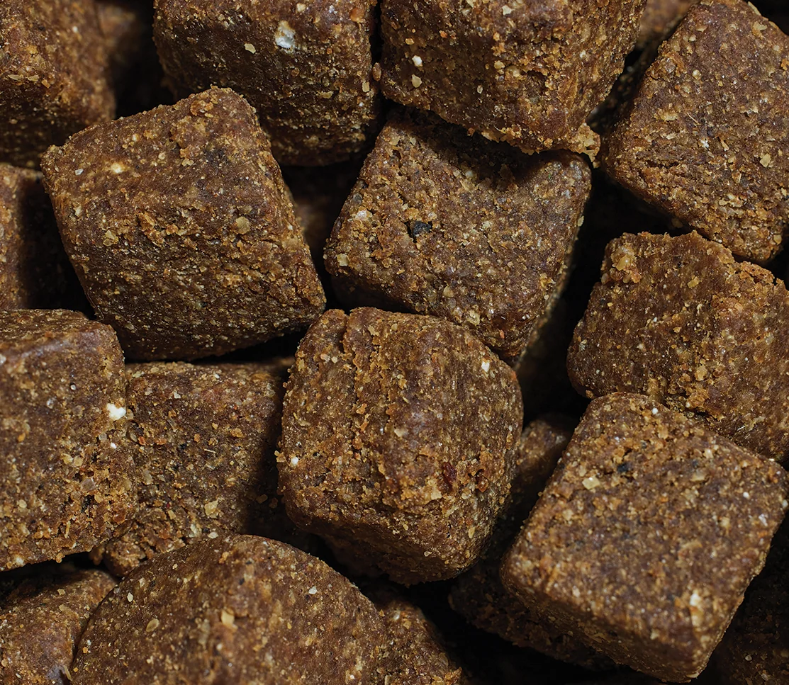 Beroligende tyggetabletter til hunde med ashwagandha og L-theanin