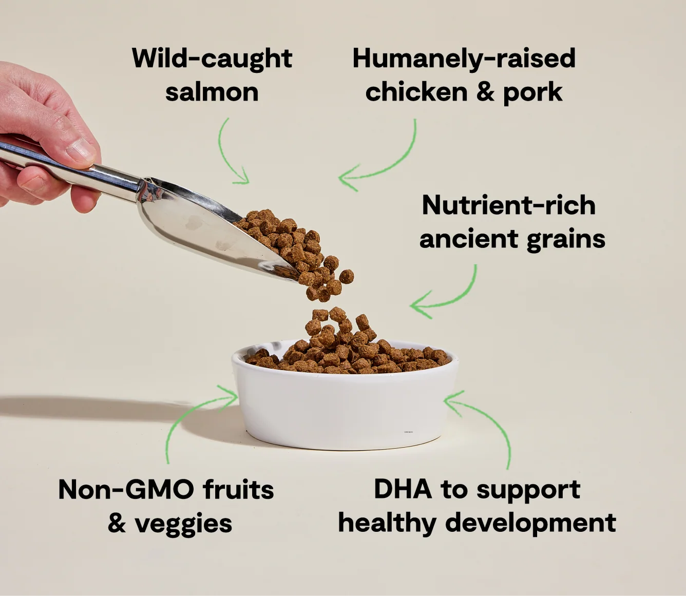 Chicken & Salmon Ancient Grains Kibble for Growing Puppies