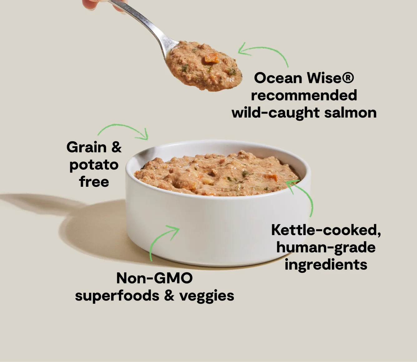 Wild-Caught Salmon Rustic Stew Wet Dog Food Topper for Dogs