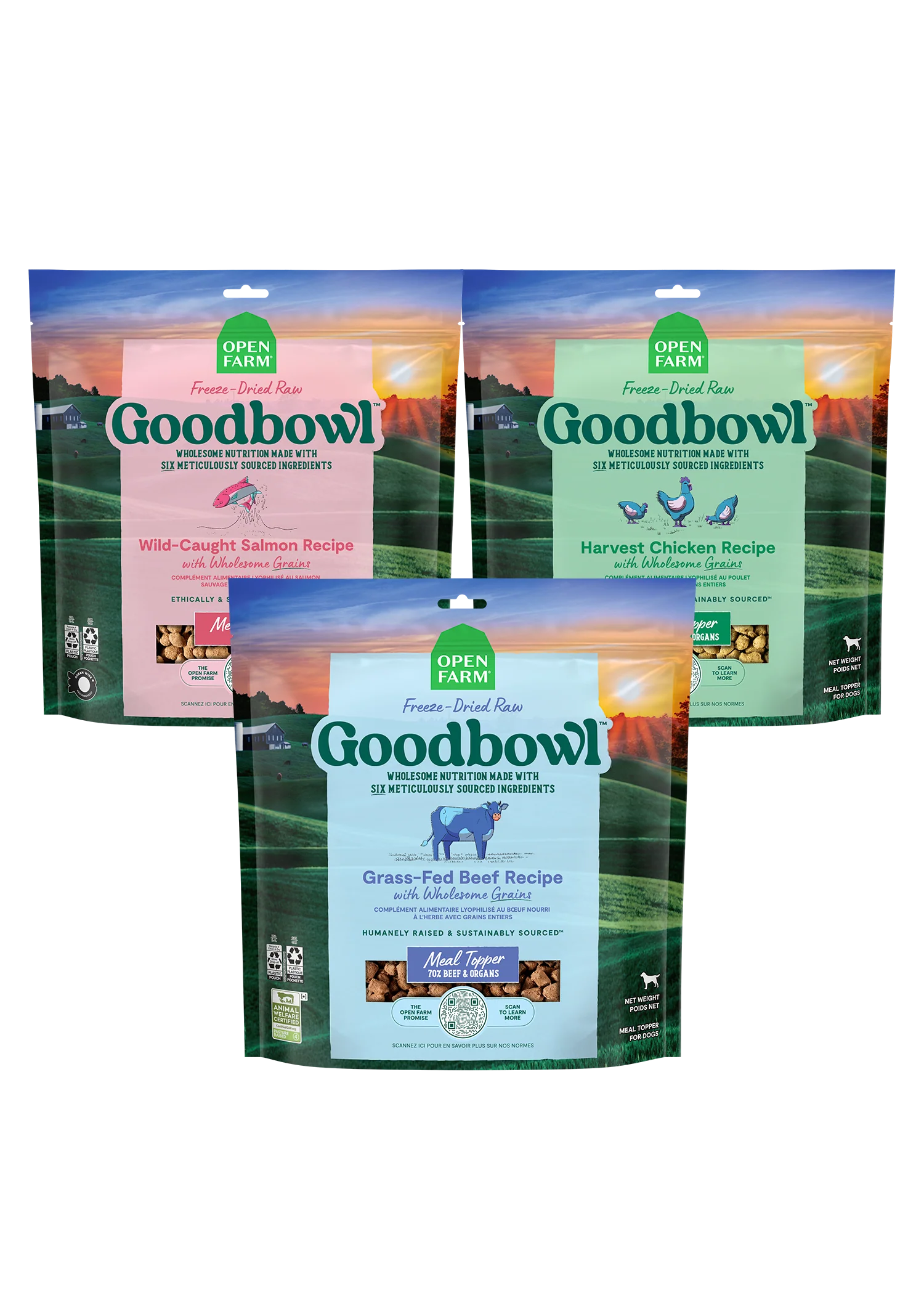 Goodbowl Köpekler için Dondurularak Kurutulmuş Çiğ Mama Karıştırıcı Çeşit Paketi