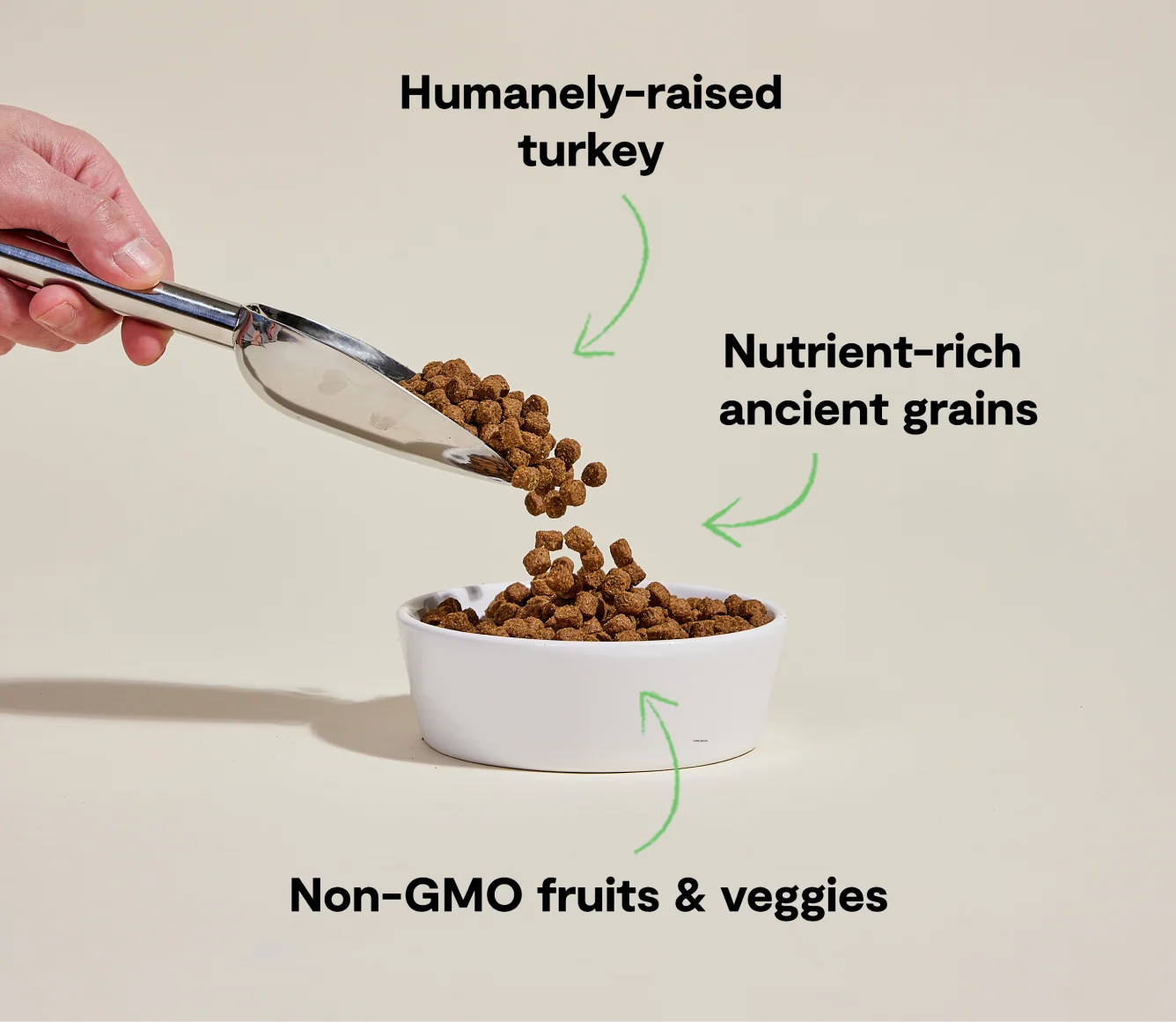 Homestead Turkey & Ancient Grains Dry Dog Kibble for Sensitive Stomachs