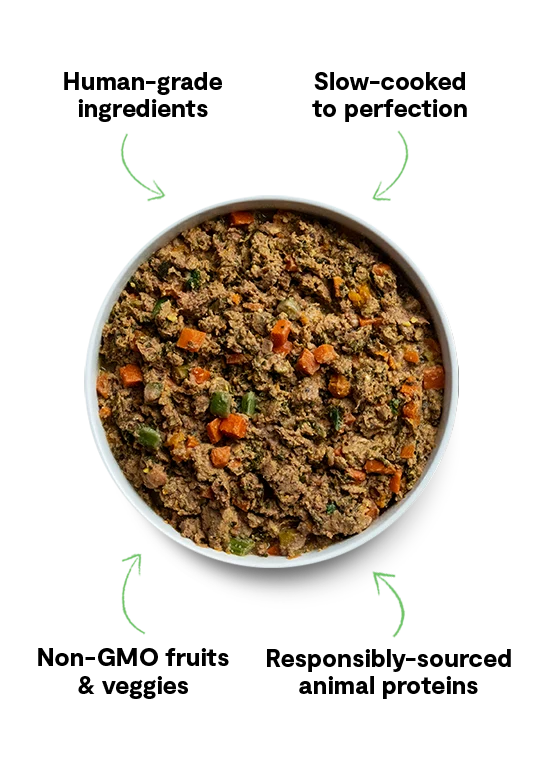 Danalı Surf and Turf Hafifçe Pişirilmiş Köpek Maması Çeşit Paketi