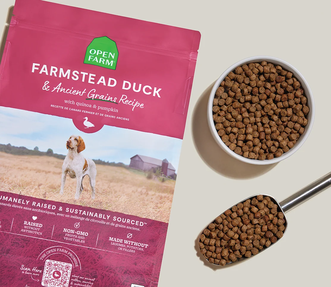 Farmstead And Ancient Grains Hundefoder med Græskar og Quinoa
