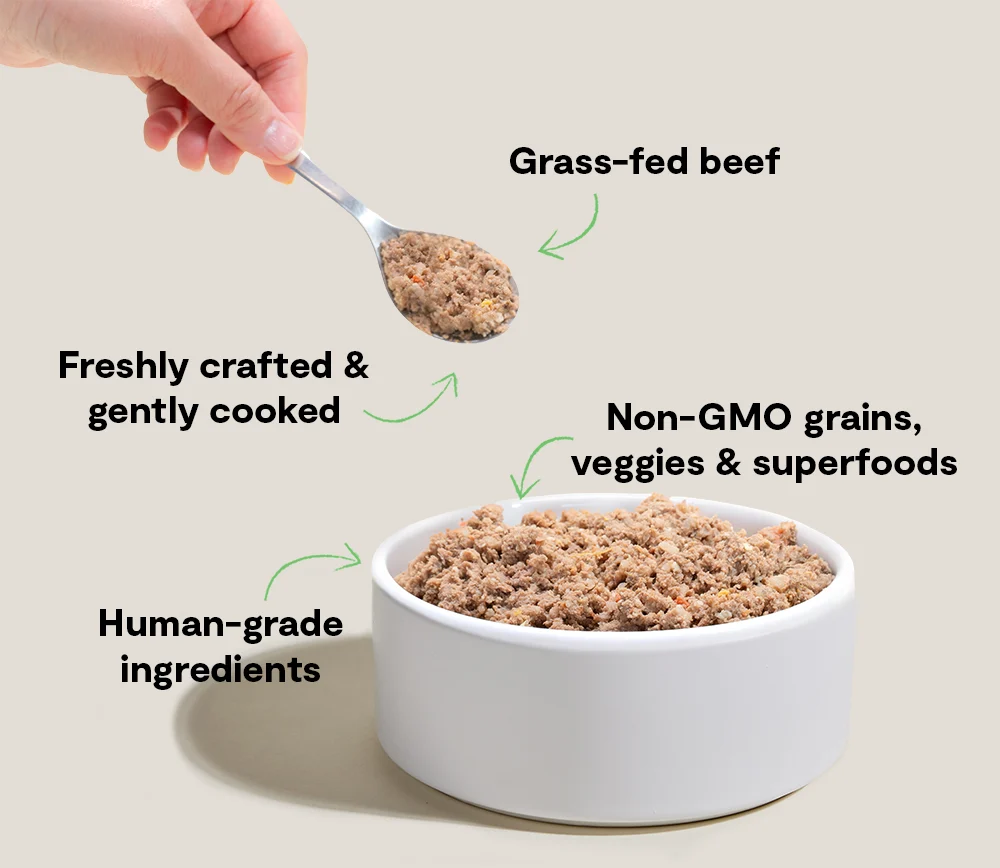 Gently Cooked Goodbowl opskrift med græsfodret oksekød til hunde