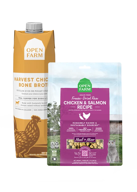 Bundle Picky Feline con bocconcini crudi di pollo e salmone