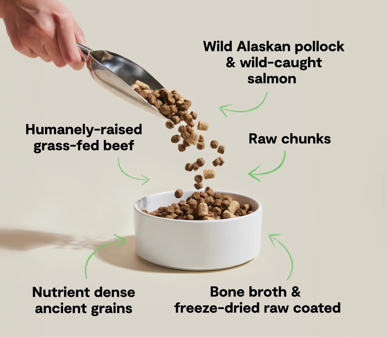 RawMix Tide and Terrain Ancient Grains hundefoder