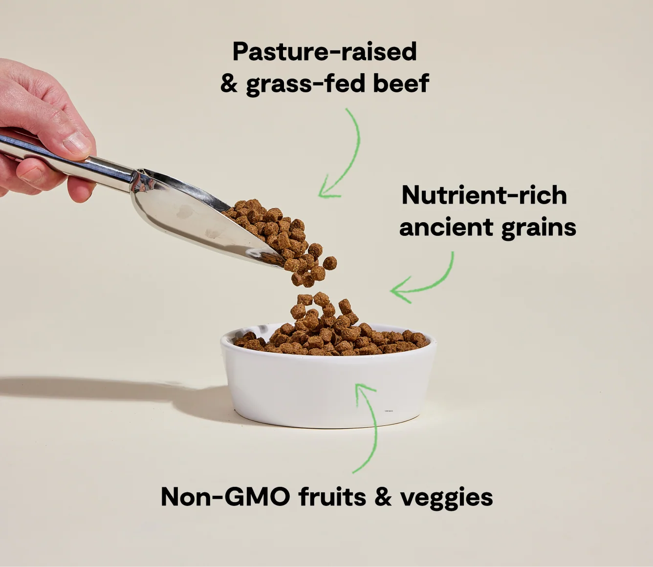 Grass-Fed Beef & Ancient Grains Dry Dog Kibble with Traceable Ingredients