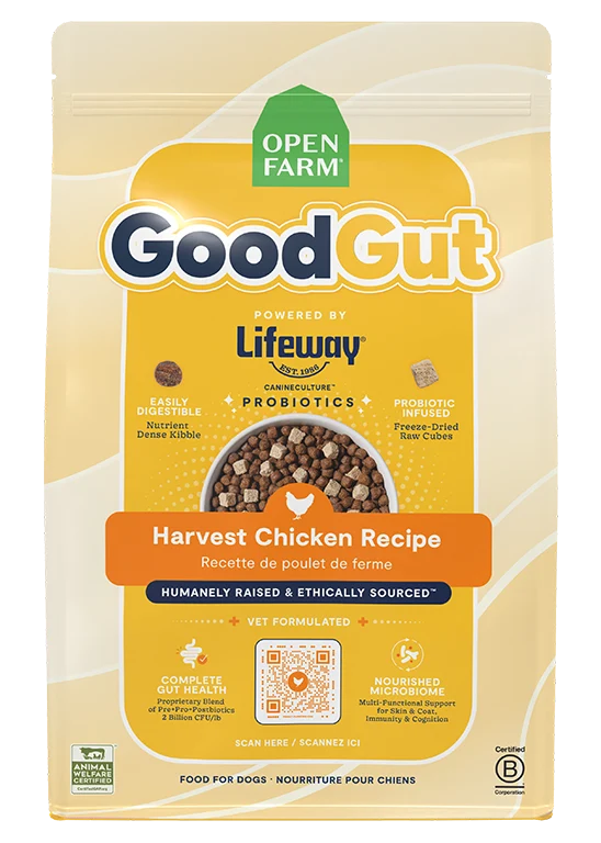GoodGut Harvest Chicken Hundefutter mit Lifeway-Probiotika