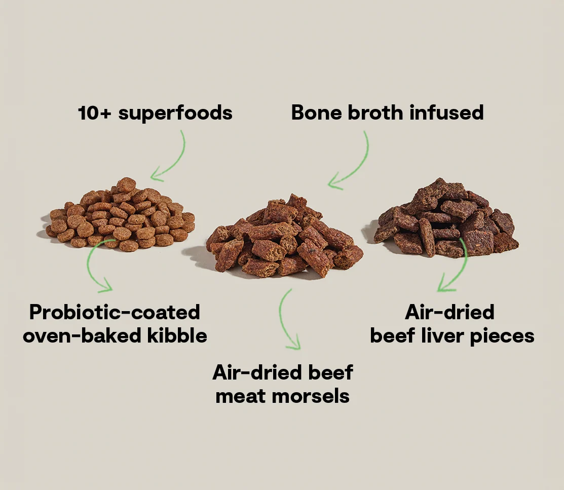Epic Blend Beef & Superfood Dry Dog Food with Probiotics