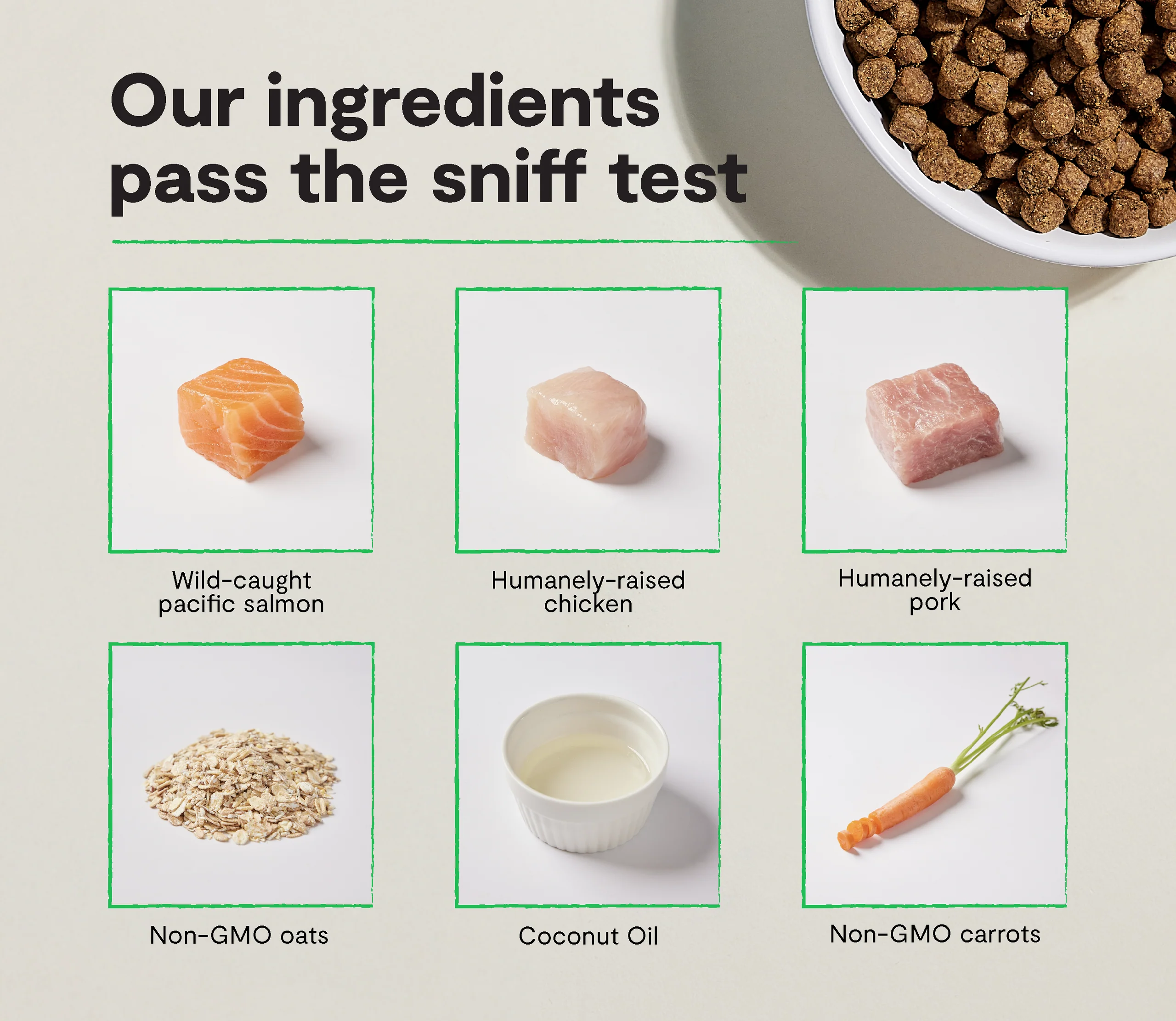 Chicken & Salmon Ancient Grains Kibble for Growing Puppies