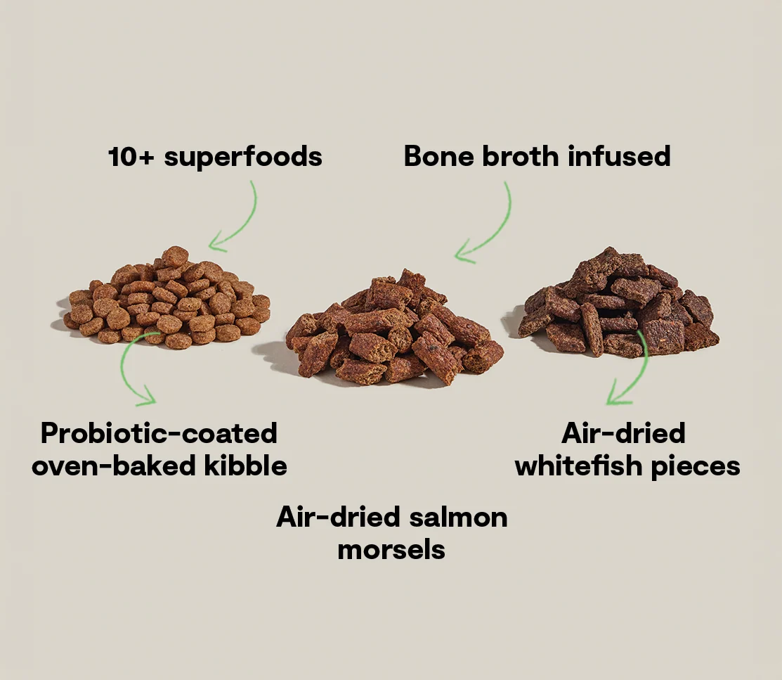 Epic Blend Lachs und Superfood Trockenfutter für Hunde mit Probiotika