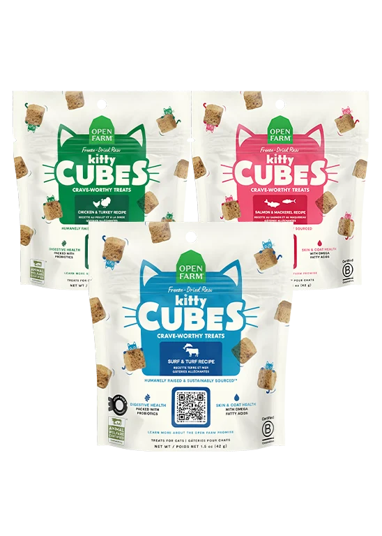 Dondurularak Kurutulmuş Çiğ Kitty Cube Kedi Ödülleri Çeşit Paketi, 3 Tarif