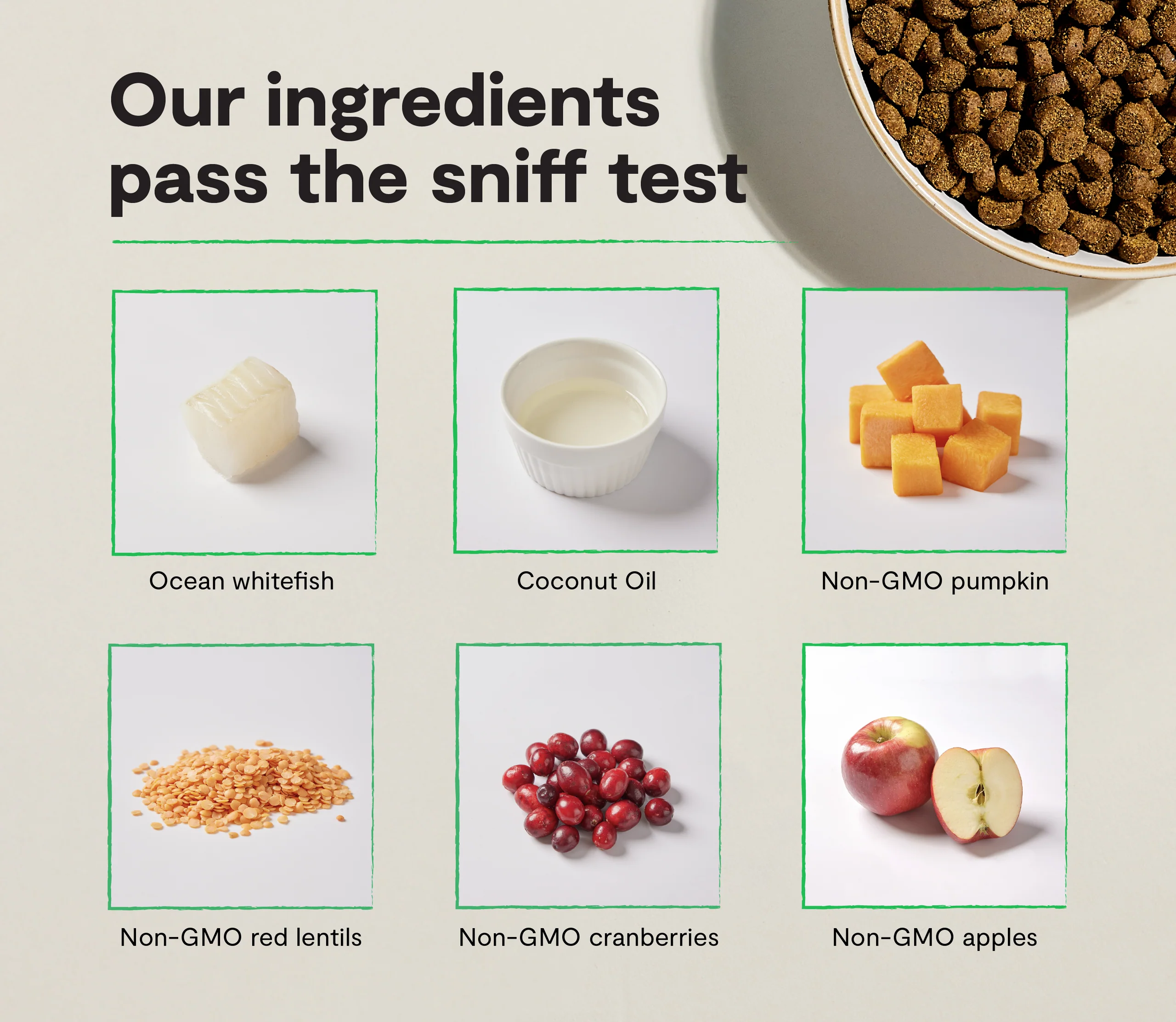 Whitefish Grain-Free Dry Cat Kibble for Skin and Coat