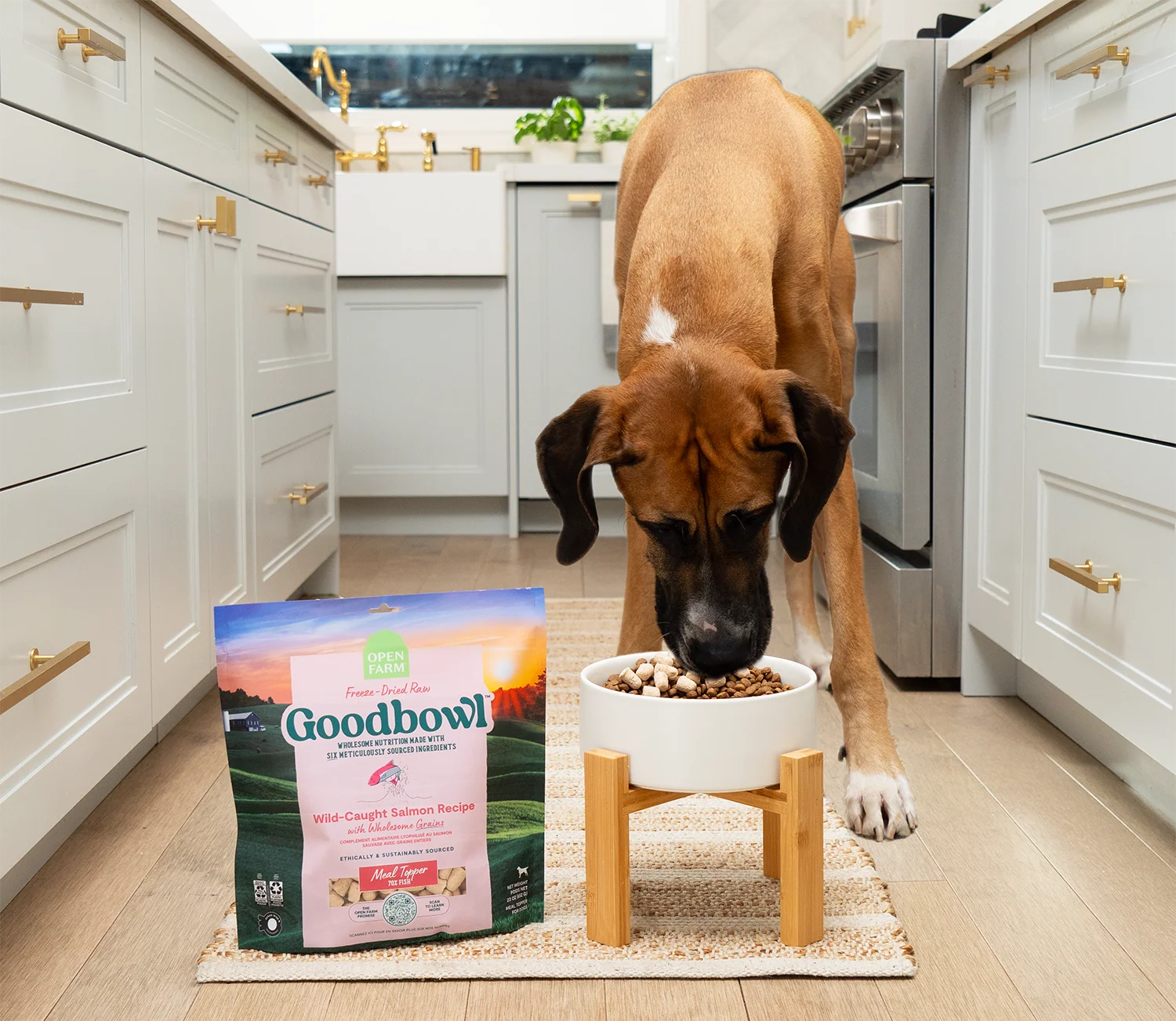 Goodbowl Köpekler için Dondurularak Kurutulmuş Çiğ Mama Karıştırıcı Çeşit Paketi