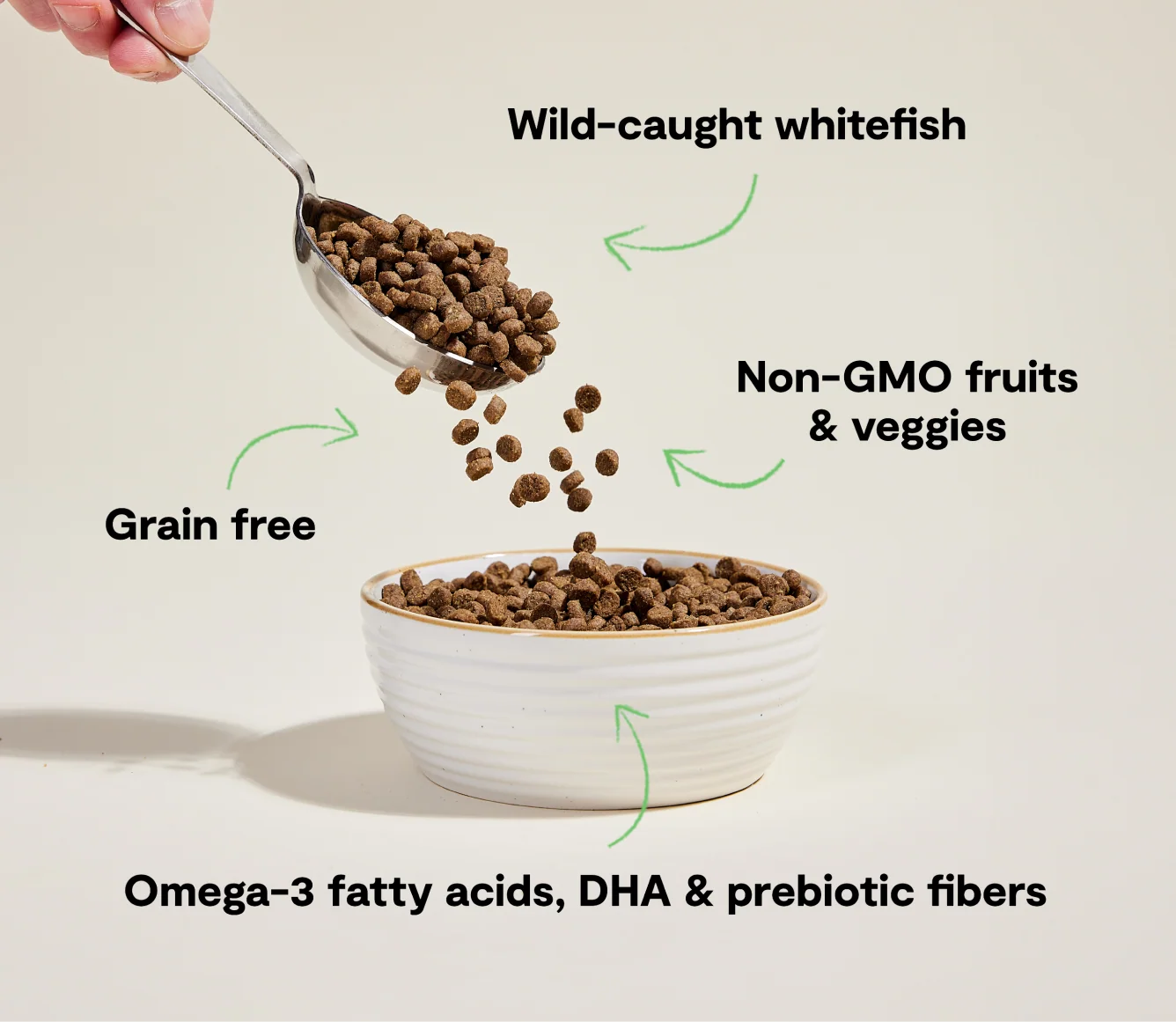 Whitefish Grain-Free Dry Cat Kibble for Skin and Coat