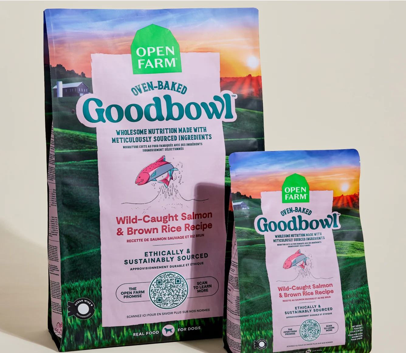 Goodbowl Wild-Caught Salmon and Brown Rice Dog Kibble for Puppies and Adult Dogs