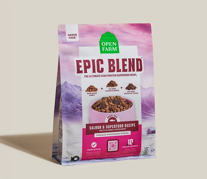 Bezzbożowa sucha karma dla psów Epic Blend z łososiem i superfoods