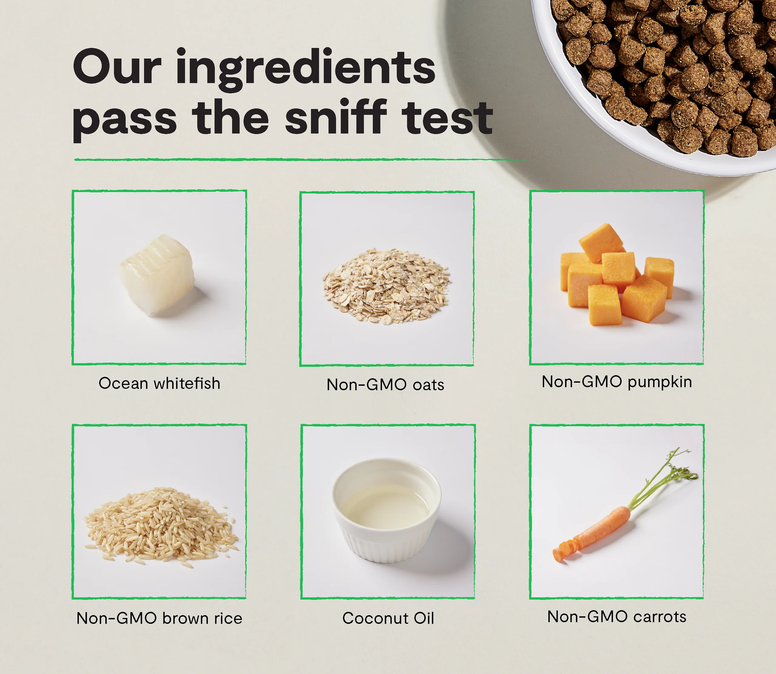 Whitefish & Ancient Grains Dry Dog Kibble for Skin and Coat Support