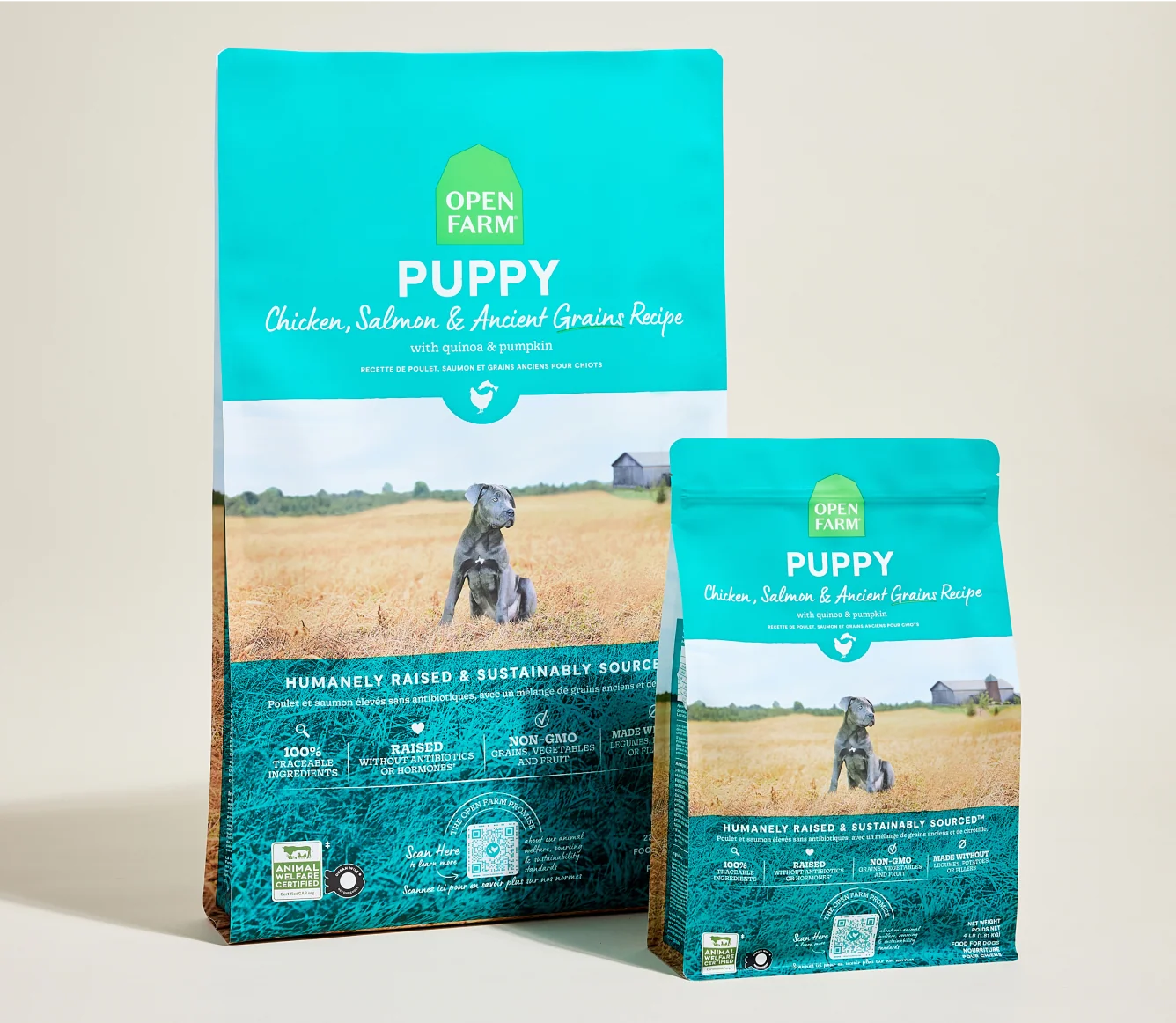 Chicken & Salmon Ancient Grains Kibble for Growing Puppies