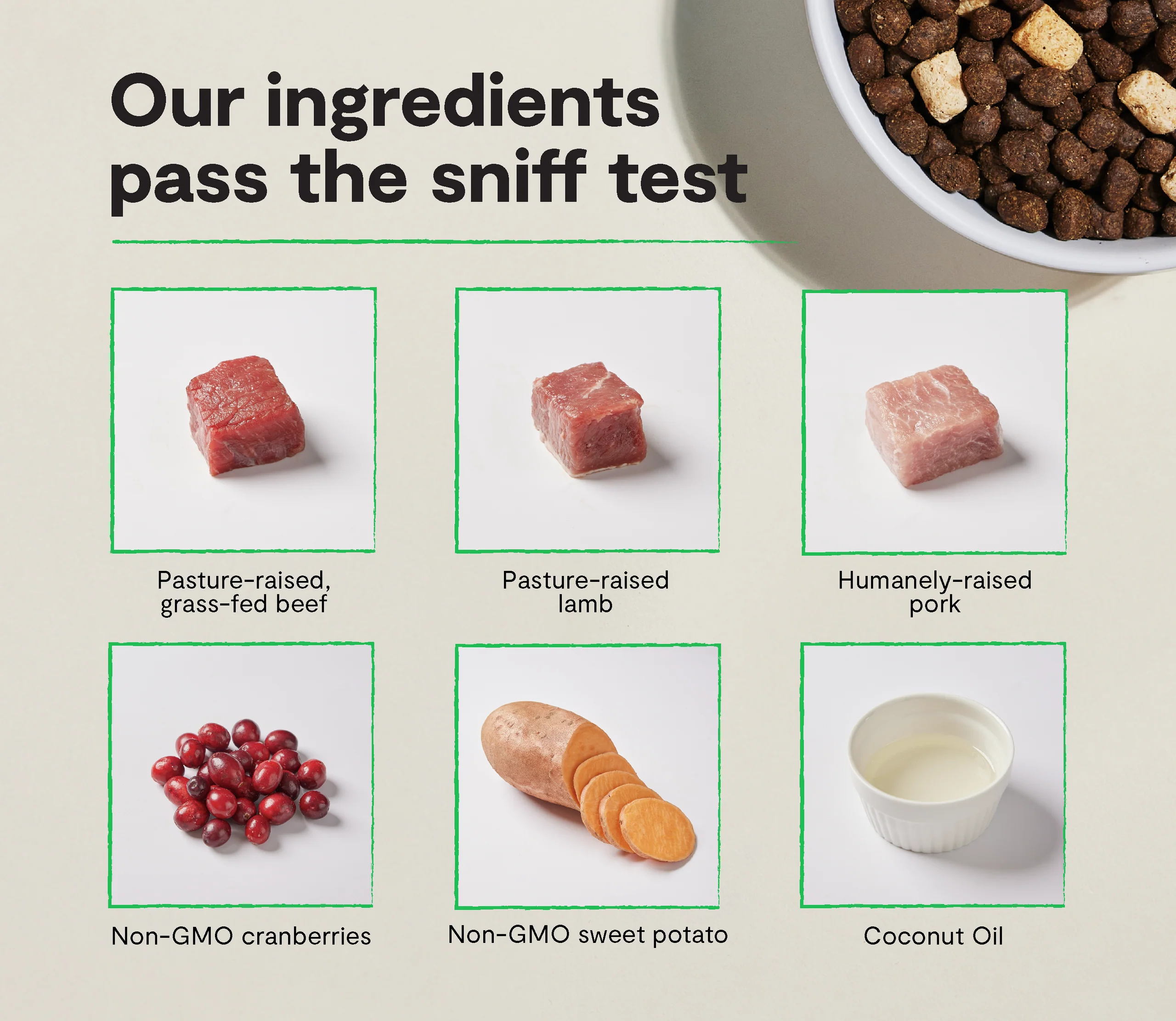 RawMix Great Plains Tahılsız Kuzu, Geyik ve Bizonlu Köpek Maması